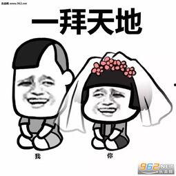 容止拜堂表情包,笑翻网友的婚礼瞬间